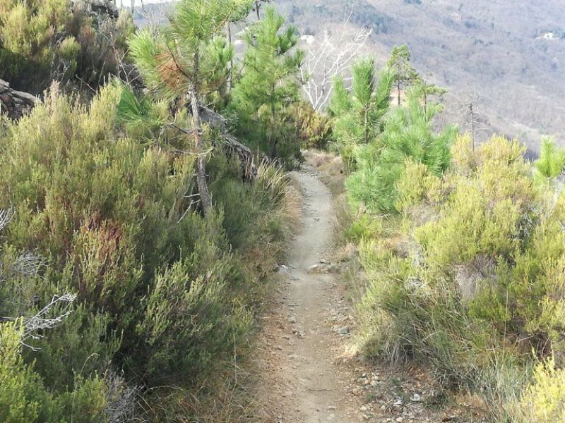 N S Della Guardia Di Varazze Escursioni E Bike Liguria